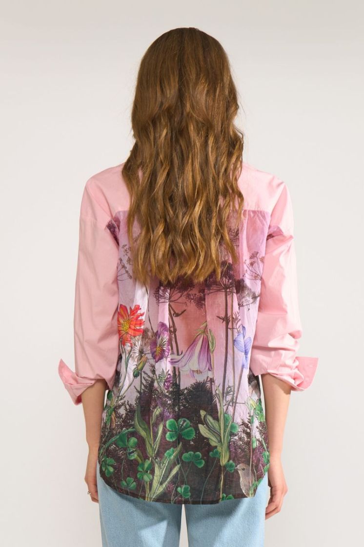  2713 PINK LADY